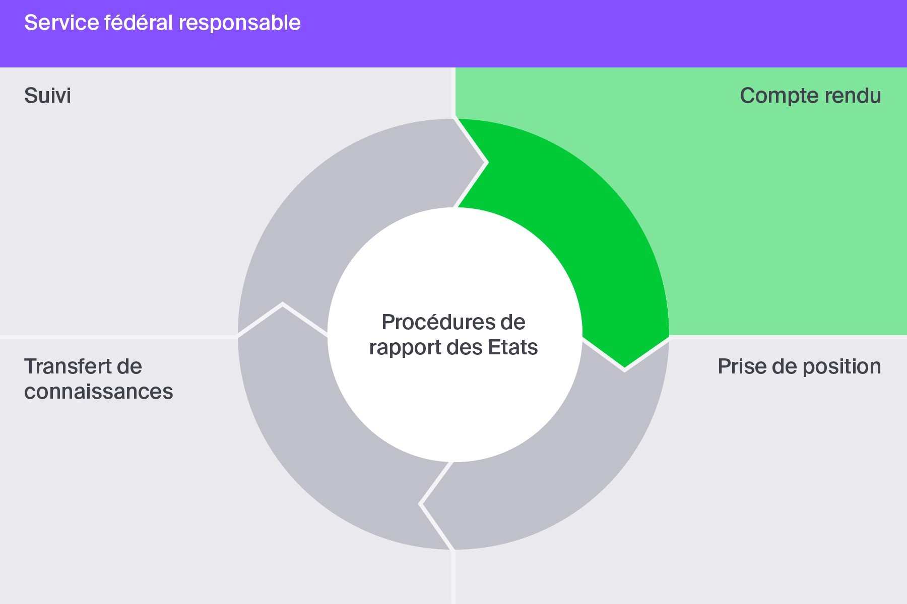 Compte rendu : le compte rendu comprend le rapport de l’Etat partie et les rapports parallèles de la société civile.