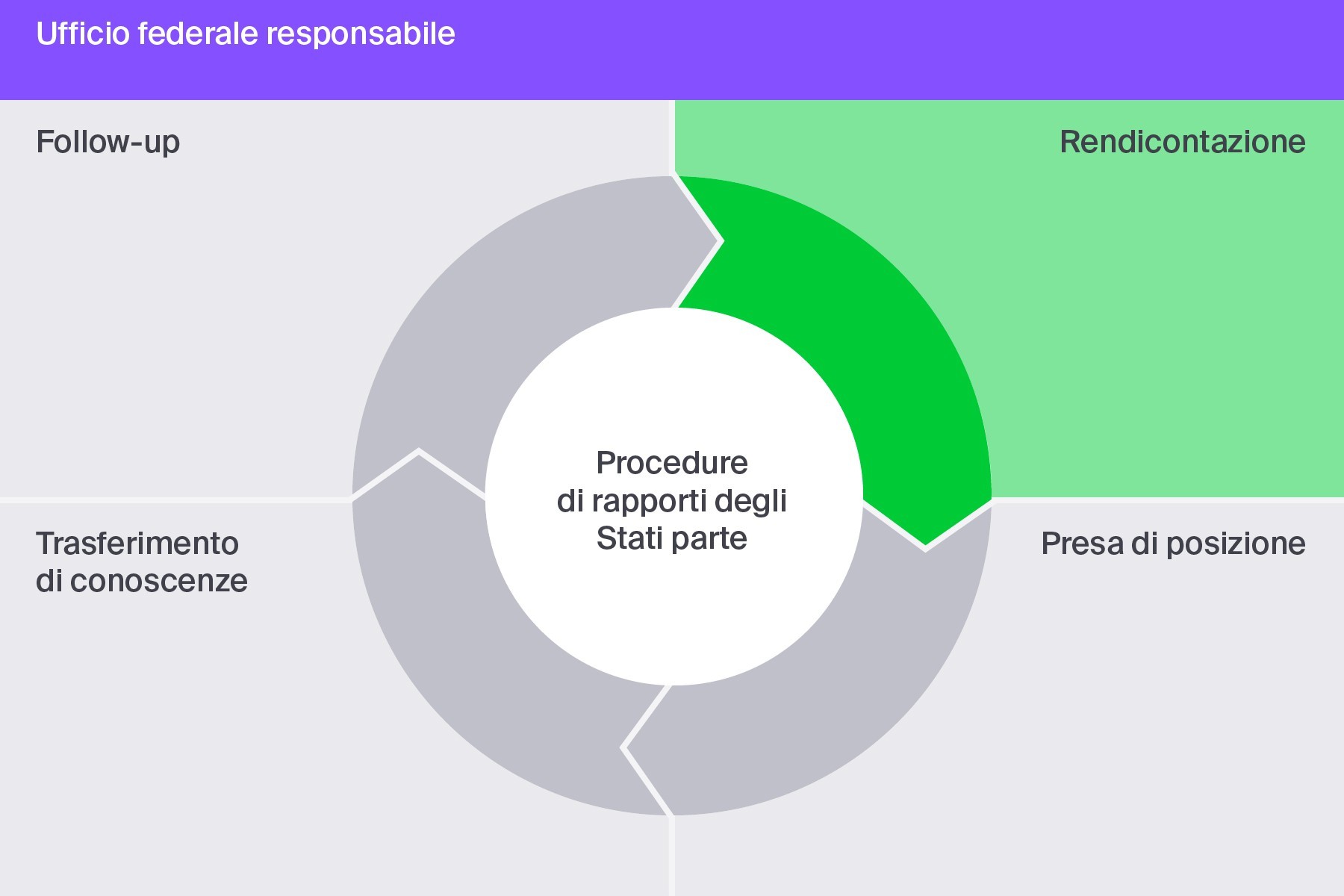 Rendicontazione: la rendicontazione comprende l’allestimento del rapporto nazionale e dei rapporti alternativi della società civile.
