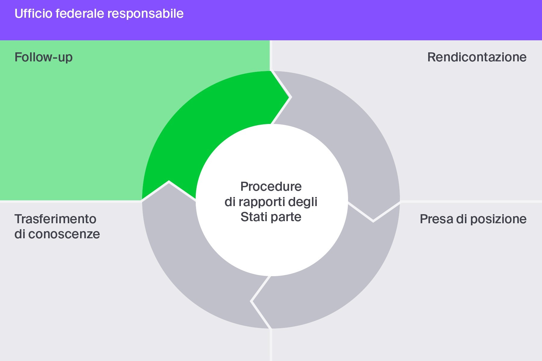 Follow-up: le misure volte a migliorare la situazione dei diritti umani vengono adottate e verificate e la loro attuazione è nuovamente esaminata dall’organo internazionale competente.